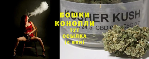 ПСИЛОЦИБИНОВЫЕ ГРИБЫ Рославль