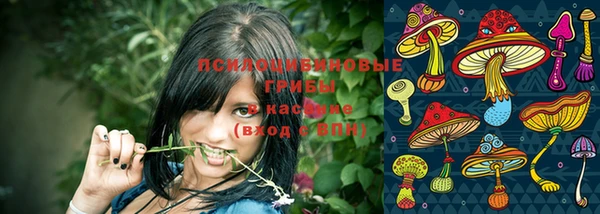 ПСИЛОЦИБИНОВЫЕ ГРИБЫ Рославль