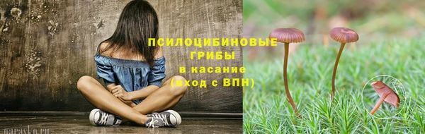 спиды Ростов