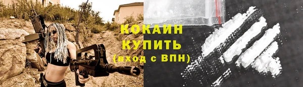 ПСИЛОЦИБИНОВЫЕ ГРИБЫ Рославль